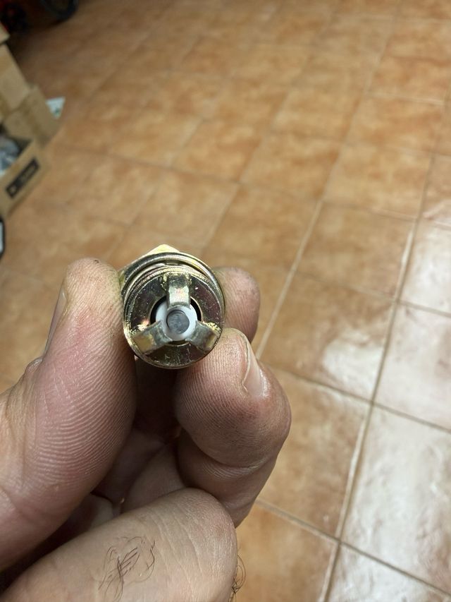 Bujías originales VAG 101000 036 AB