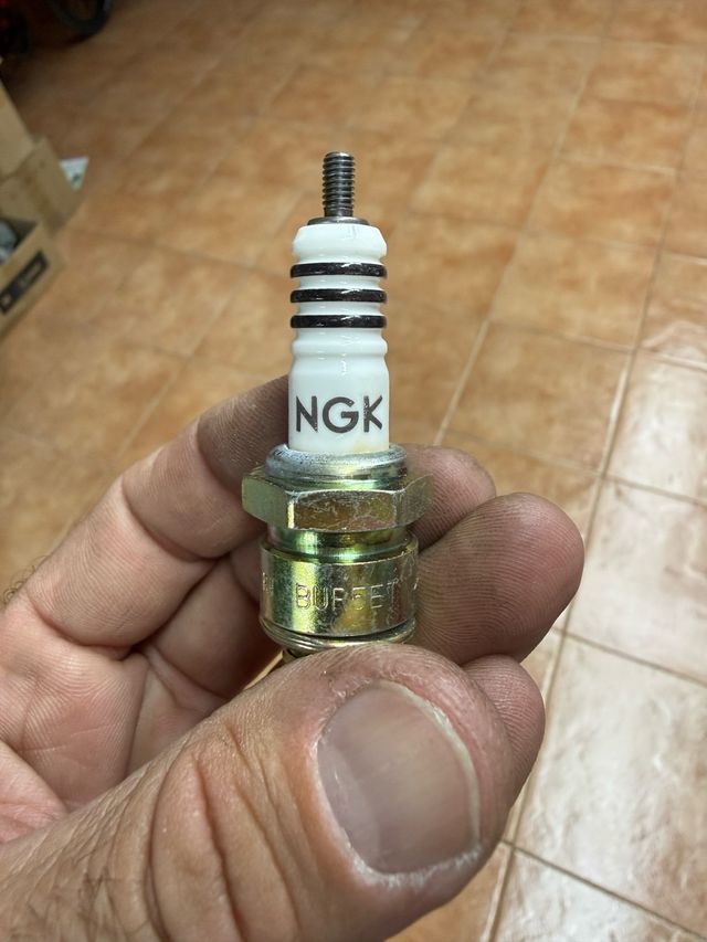 Bujías originales VAG 101000 036 AB