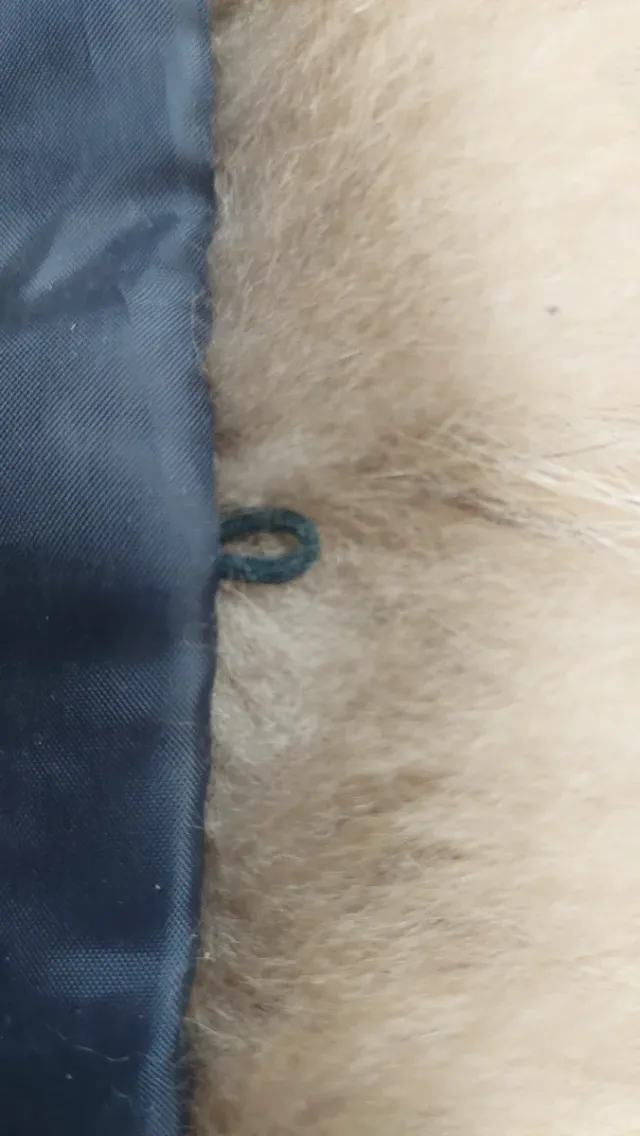 Collo pelliccia beige e marrone