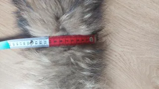 Collo pelliccia beige e marrone