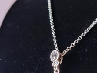 Collana Elegante Ciondolo Goccia Argento