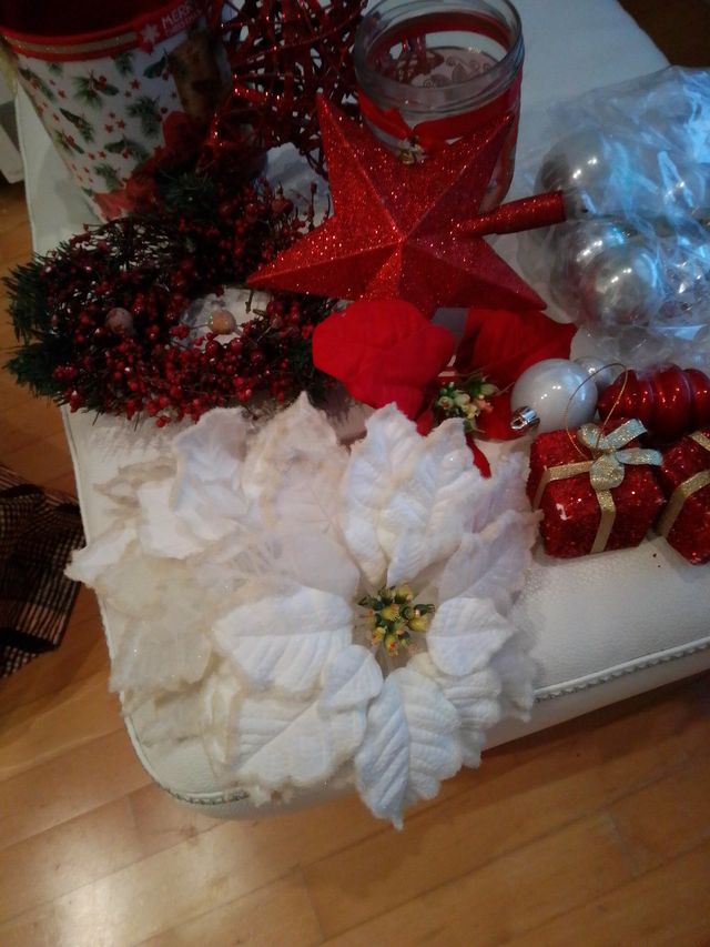 Lote Navidad Rojo y Blanco