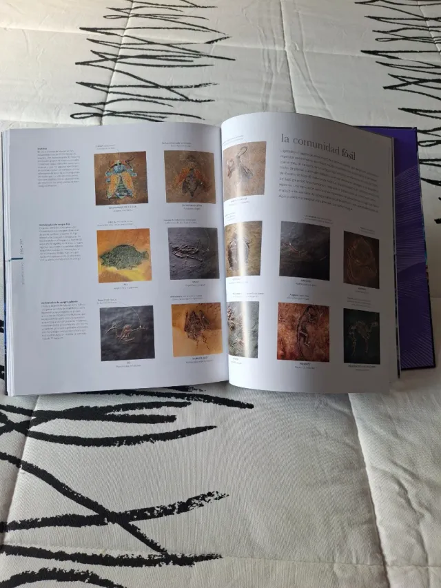 Tierra: Los secretos de nuestro planeta