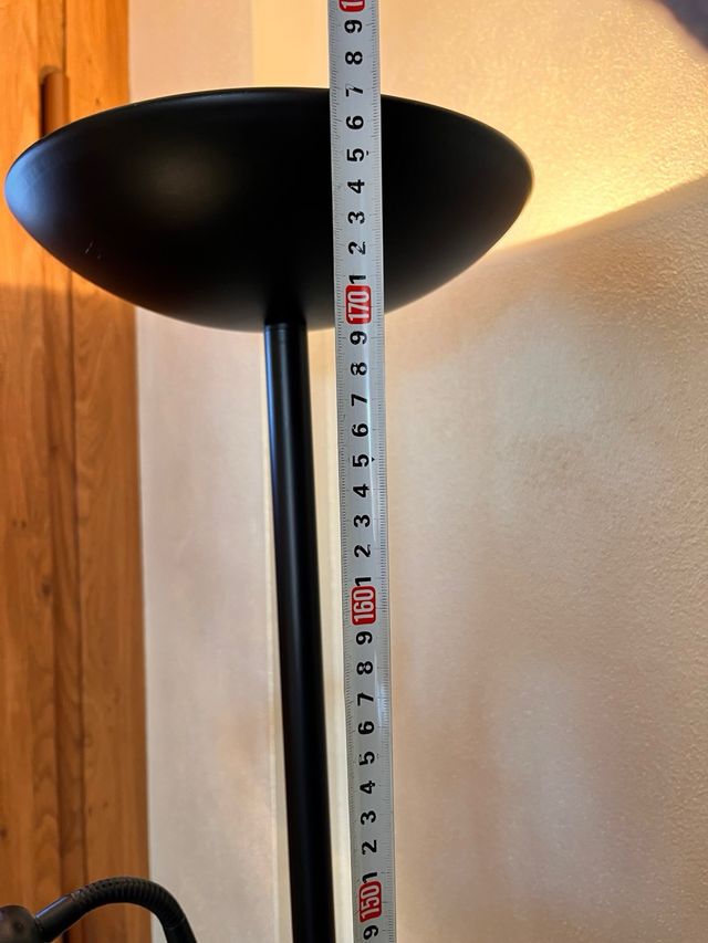 Lampada da terra nera con luce orientabile