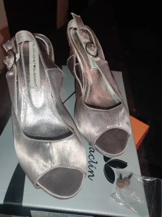 Zapatos de salón elegantes