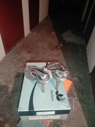 Zapatos de salón elegantes