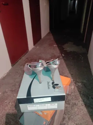 Zapatos de salón elegantes