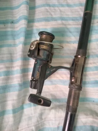 Caña de pescar grande