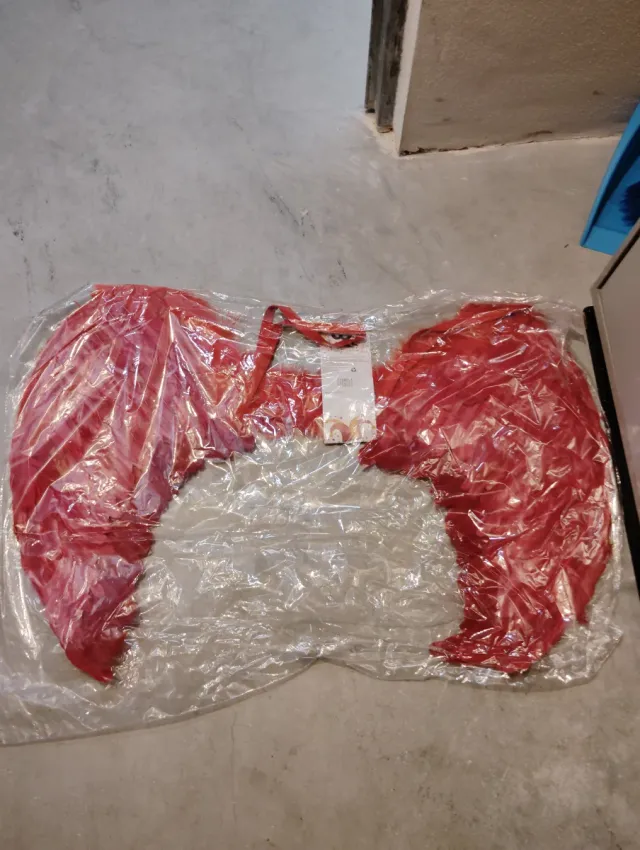 Alas rojas para disfraz