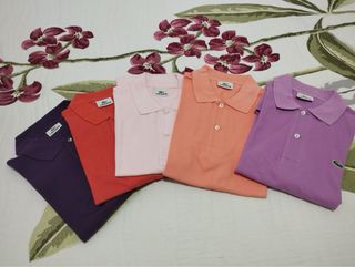 Polos Lacoste Talla 4 (M)