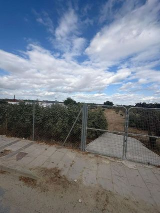 Solar en venta en Almensilla