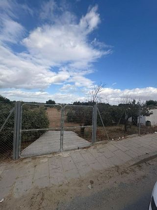 Solar en venta en Almensilla