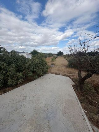 Solar en venta en Almensilla