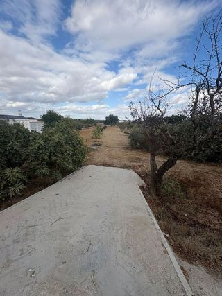 Solar en venta en Almensilla