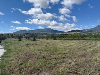 Terreno en venta en Moratalla