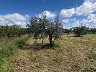 Terreno en venta en Moratalla
