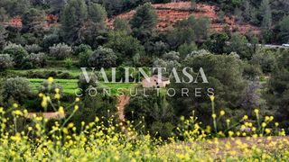 Terreno en venta en Alcora, l´