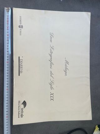 12 Litografie del XIX secolo di Málaga