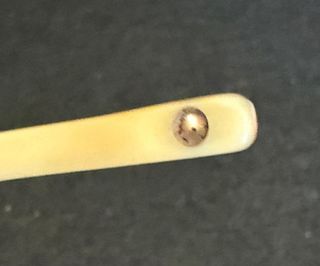 Occhiali da vista Montblanc Tortora/Oro