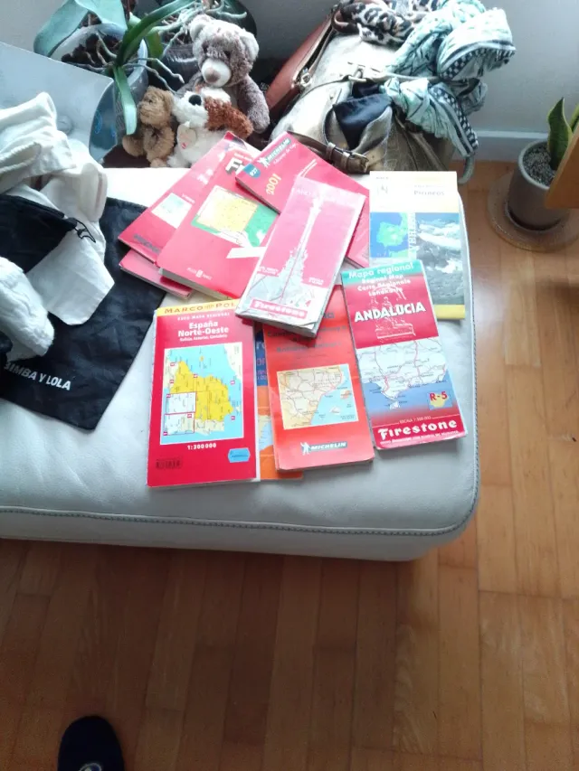 Lote mapas España y Francia