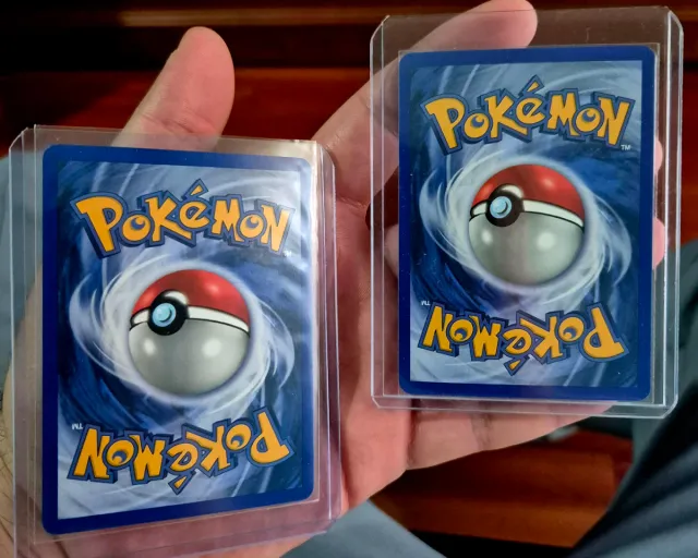 Pack 2 Cartas Pokémon: Swampert y Camerupt