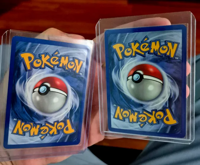 Pack 2 Cartas Pokémon: Swampert y Camerupt