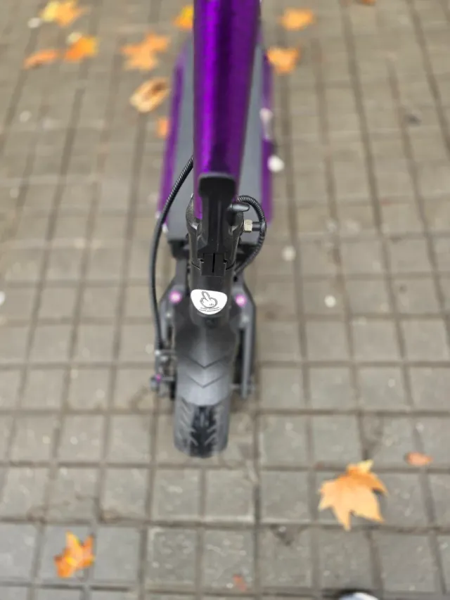 Patinete Teverun Fighter