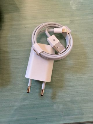 Caricabatterie Apple USB con cavo Originale