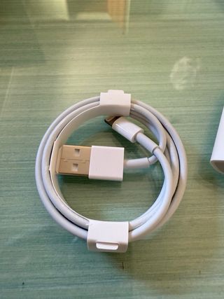 Caricabatterie Apple USB con cavo Originale