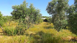 Casa rural en venta en Lepe ciudad en Lepe