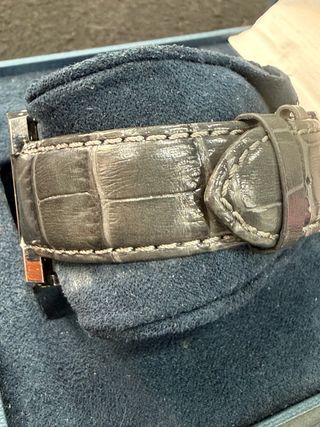 Reloj de pulsera Festina F16184