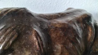 Rinoceronte cuero Liberty of London