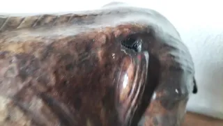 Rinoceronte cuero Liberty of London