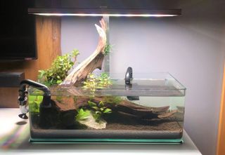 Acuario cristal 17L, nanotank