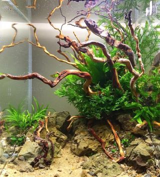 Acuario 32L con decoración y filtro