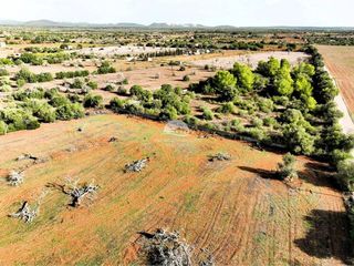 Terreno en venta en Campos