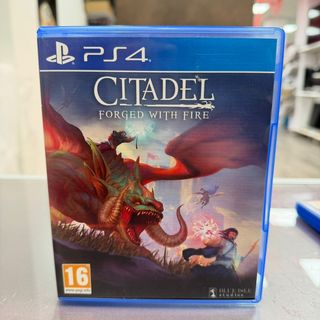Videojuego PS4 Citadel Forged With Fire