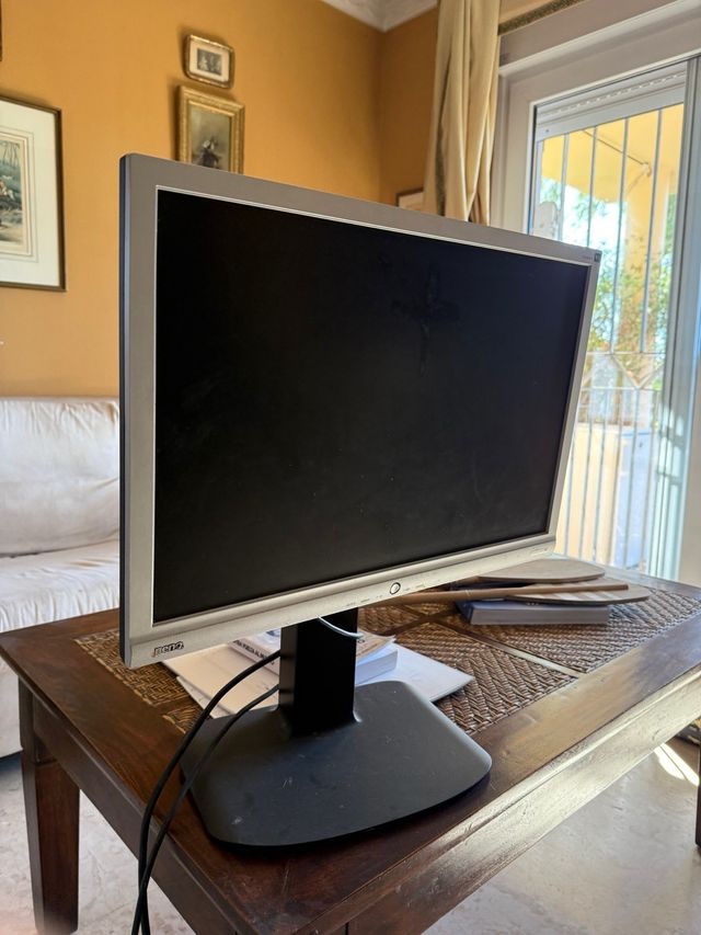 Monitor BenQ PC Plata y Negro