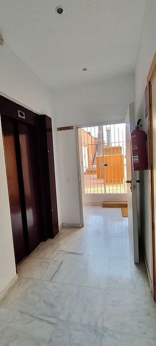 Ático en alquiler en Zona Avda. Juan de Diego - Parque Municipal  en Bormujos