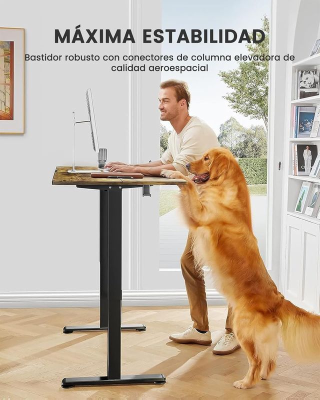 Escritorio Elevable Eléctrico ErGear Vintage