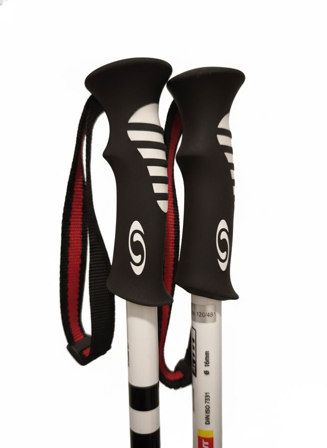 Bastones de esquí Salomon