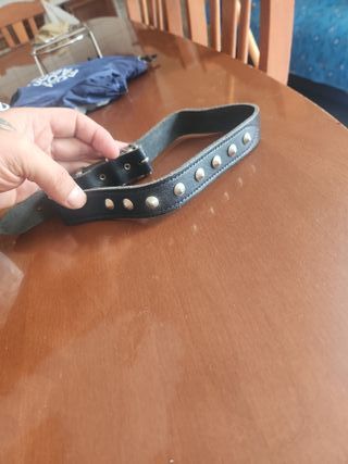 Collare per cane borchiato