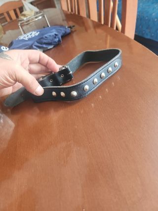 Collare per cane borchiato