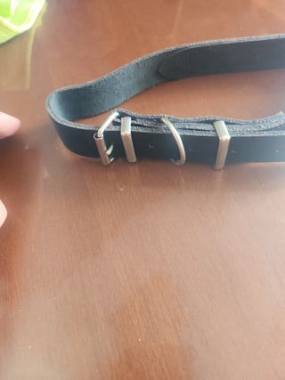 Collare per cane borchiato