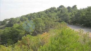 Terreno en venta en Picassent