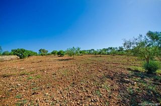 Terreno en venta en Manacor Centro en Manacor