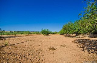 Terreno en venta en Manacor Centro en Manacor