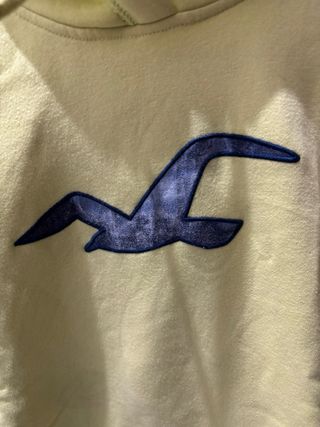 Sudadera Hollister Verde/Amarilla