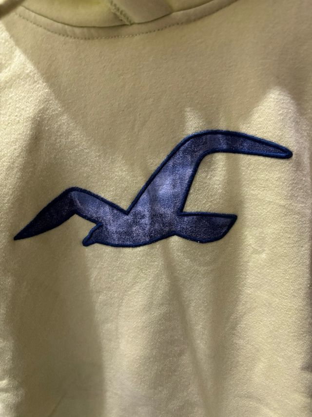 Sudadera Hollister Verde/Amarilla