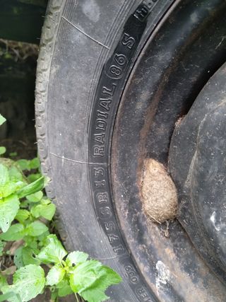 Caravana para restaurar, zona guadalmesi tarifa